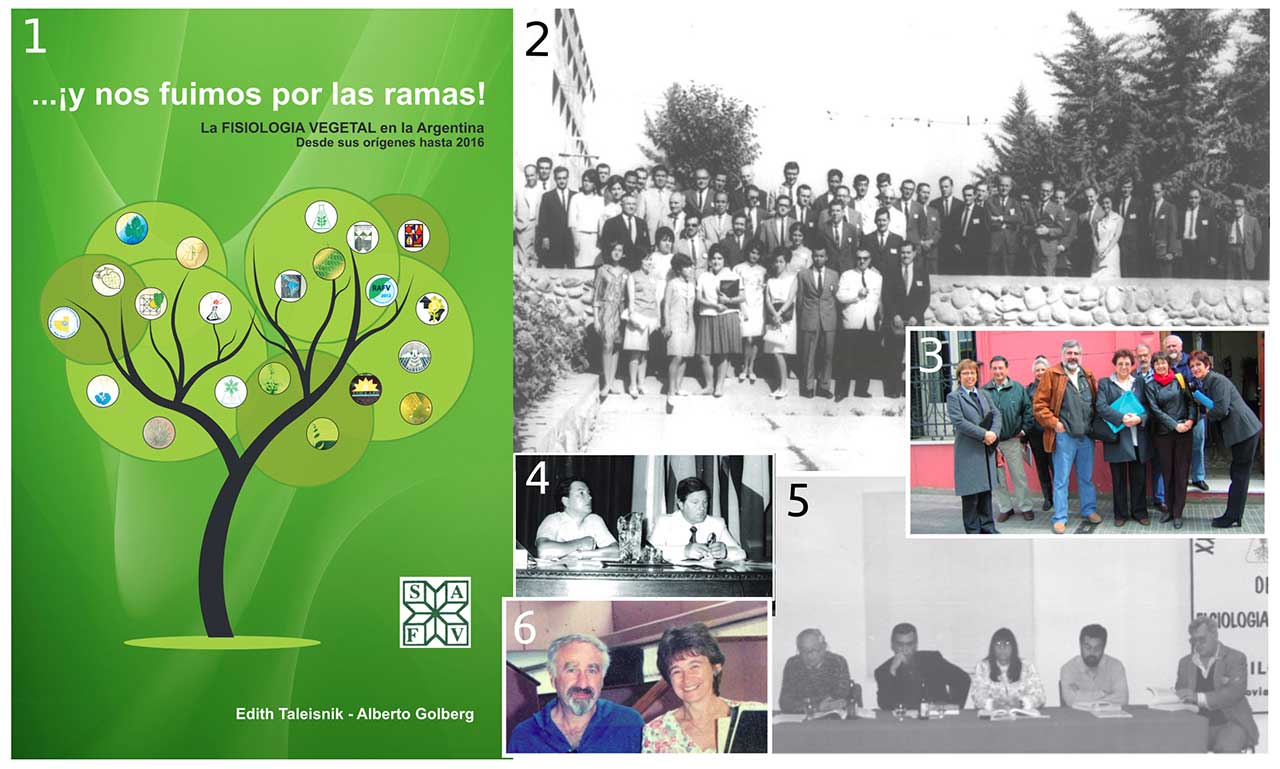 y-nos--fuimos-por-las-ramas